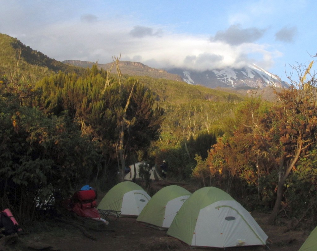 campsite kilimanjaro marathon