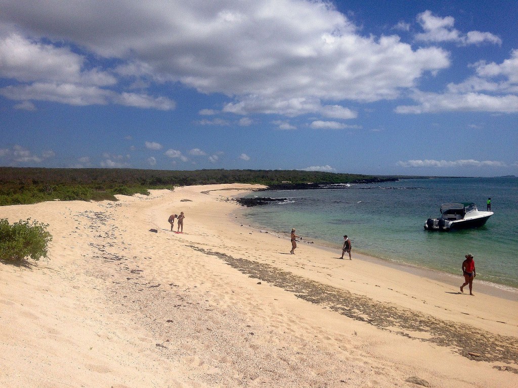 galapagos singles vacation beaches