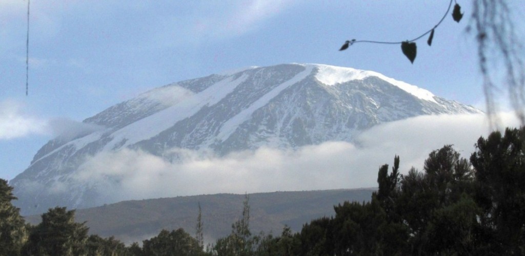 kilimanjaro trail marathon