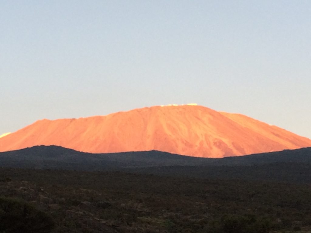 kilimanjaro marathon race