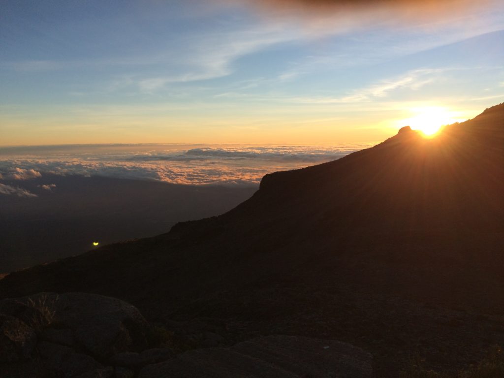 kilimanjaro marathon