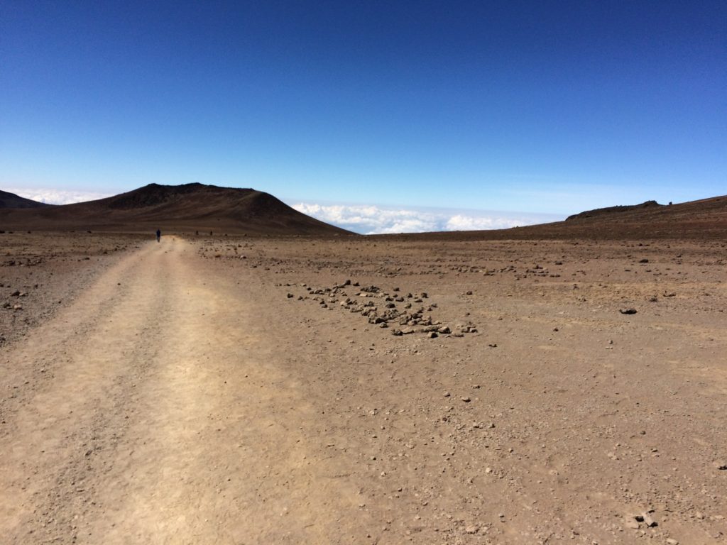 decending kilimanjaro marathon