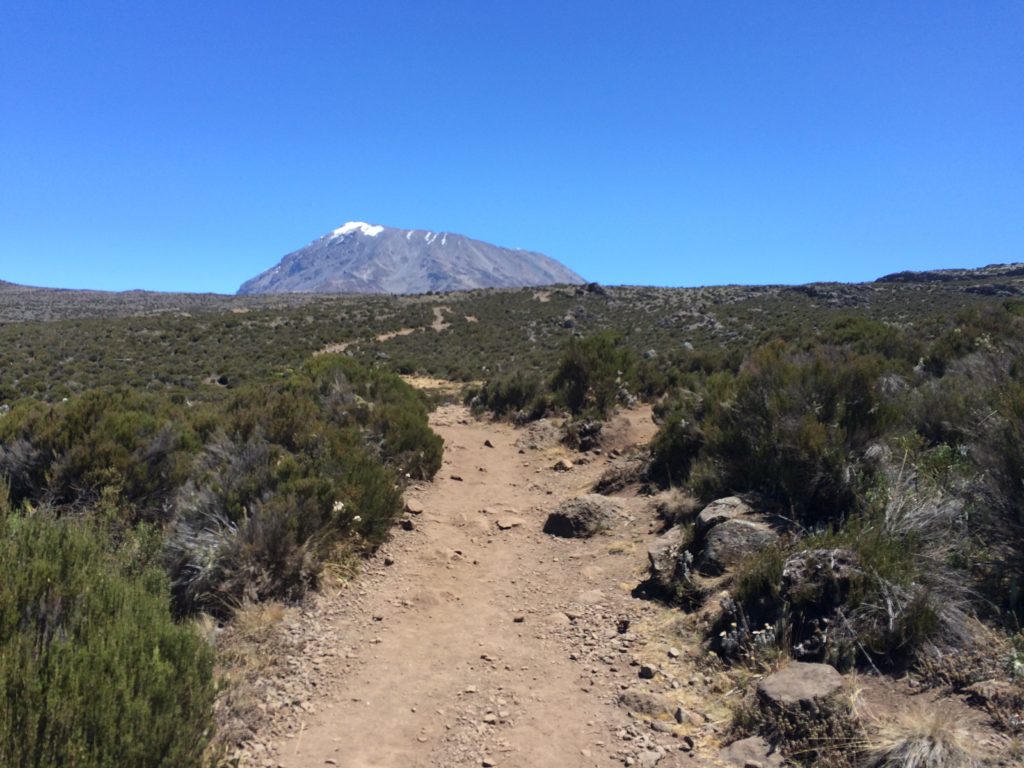 running in the kilimanjaro trail marathon