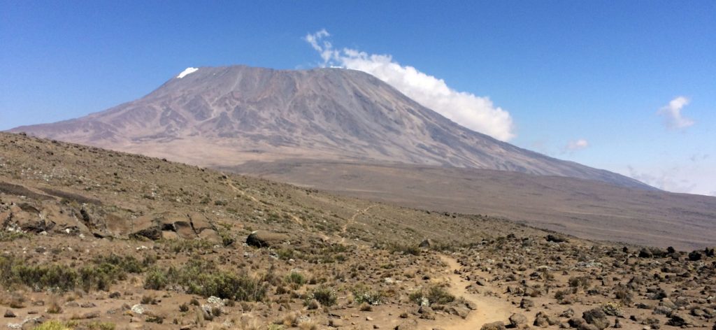 Kilimanjaro Marathon Trail Race-The worlds highest elevation marathon